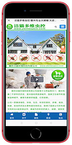 企業(yè)官網(wǎng)（手機(jī)版）